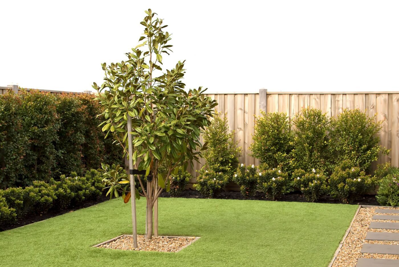 A small tree stands in the center of a neatly manicured backyard with lush green artificial grass from Jacksonville Artificial Turf. The tree is surrounded by a square patch of gravel. In the background, there's a wooden fence and a row of green bushes lining the perimeter, reminiscent of Neptune Beach, FL.