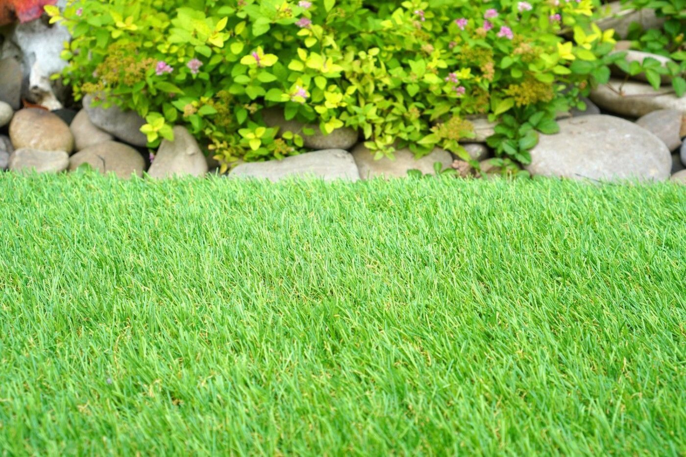 A close-up of a well-maintained patch of green grass bordered by a line of smooth, round stones. Behind the stones, there is a variety of vibrant green and yellow leafy plants interspersed with small pink flowers—an ideal outdoor space upgrade for St. Johns FL homeowners.